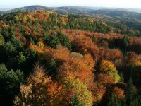 Podzimní pohled z věže na Jarníku