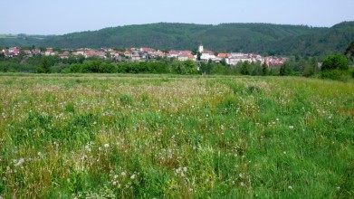 Plochy kácovského golfového hřiště