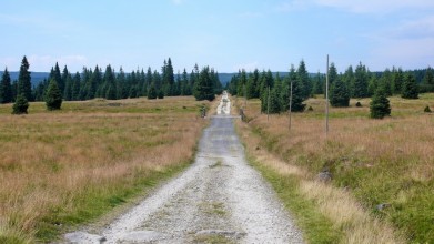 Cesta Velkou Jizerskou loukou