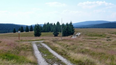 Cesta Velkou Jizerskou loukou