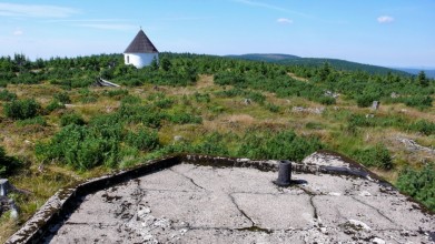 Řopík u Kunštátské kaple v Orlických horách, ve výšce 1 030 metrů